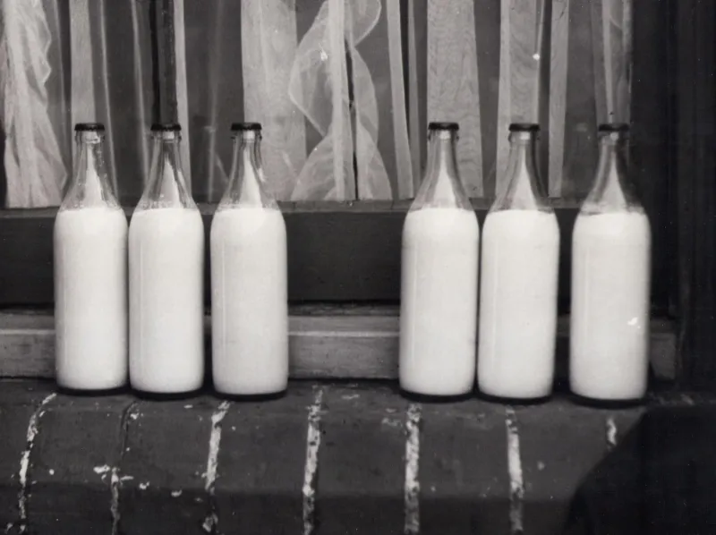 Your Milkman Remembered How You Liked Your Eggs: When Delivery Drivers Were Part of the Family